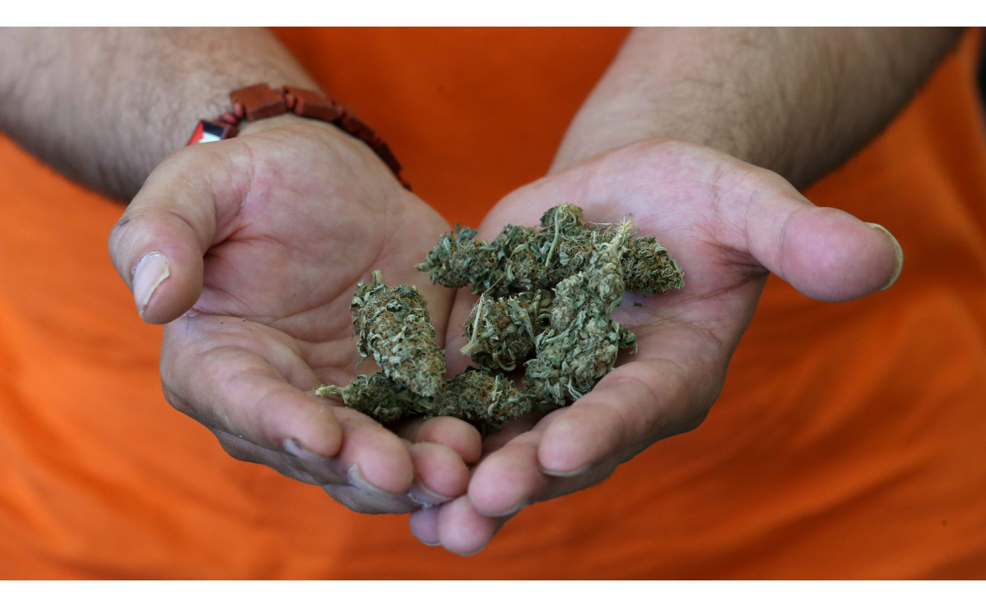 Le CBD : des vertus thérapeutiques miraculeuses